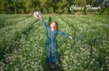 2019桃園大溪韭菜花海 |桃園季節限定雪白九月雪