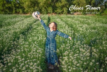 2019桃園大溪韭菜花海 |桃園季節限定雪白九月雪