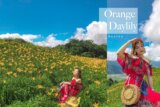 2019花蓮金針花｜六十石山金針花| 交通最新懶人包｜ＩＧ打卡拍照點