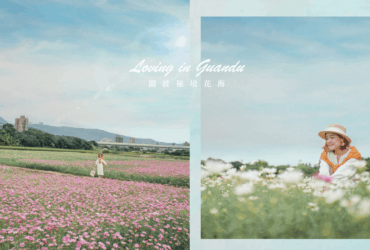 2020關渡秘境花海。4公頃大波斯菊浪漫｜花期、交通路線、接駁車資訊、拍照技巧懶人包