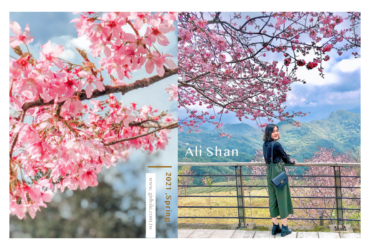 阿里山櫻花季2021|阿里山火車、交通管制、天氣、六大賞櫻景點攻略