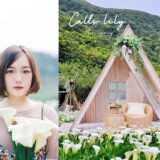 竹子湖怎麼去？陽明山海芋季2021｜盤點3家夢幻海芋田，海芋田邊下午茶、夢幻鞦韆