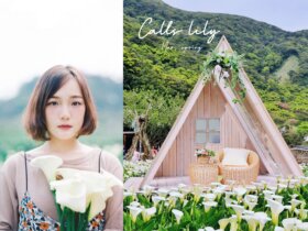 竹子湖怎麼去？陽明山海芋季2021｜盤點3家夢幻海芋田，海芋田邊下午茶、夢幻鞦韆