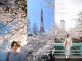 photo output 1