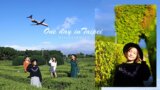 台北捷運一日遊｜ＩＧ打卡點。新生迷宮花園。玻璃金字塔。花之隧道feat.快拍客