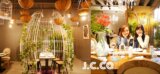 高雄鳳山美食餐廳｜J.C co 藝術廚房｜森林系夢幻餐廳 ｜童話風鳥籠座位