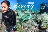小琉球潛水推薦｜小琉球綠蠵龜潛水 PADI 潛水證照 |  PADI 證照懶人包
