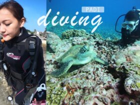 小琉球潛水推薦|小琉球綠蠵龜潛水 PADI 潛水證照 | PADI 證照懶人包